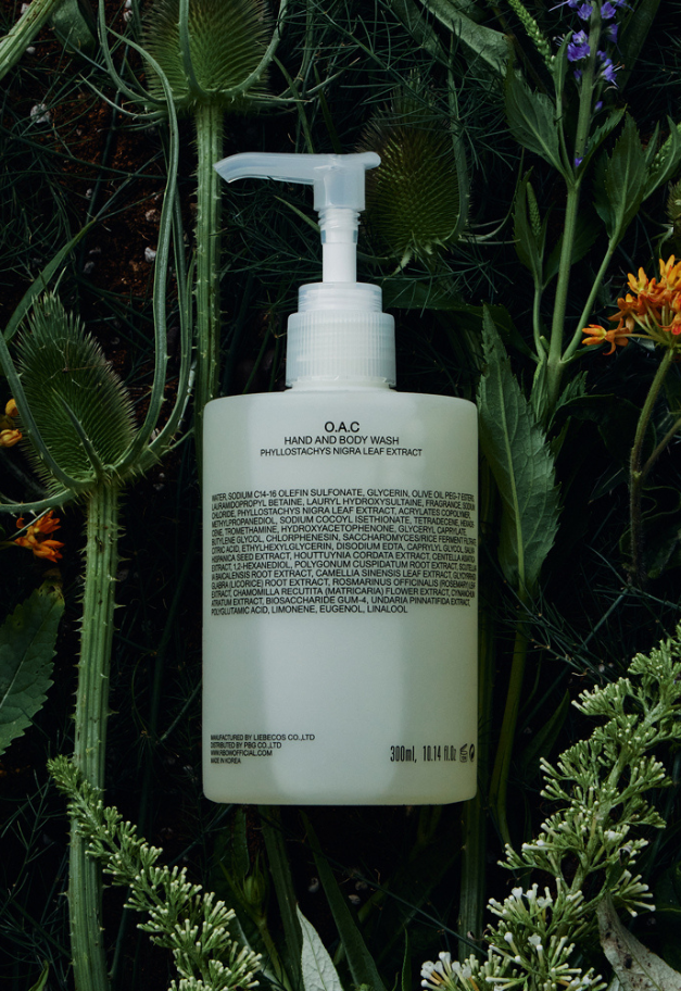 RboW ハンド&ボディウォッシュ 300ml【O.A.C】
