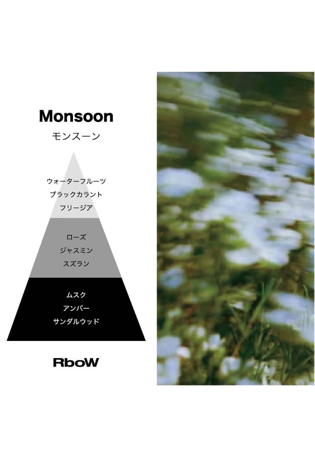 RboW ケーススタディ オードパルファム 30ml【モンスーン/RESTOCK】