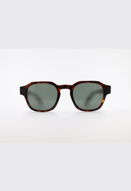 CASU eyewear Ginger 142