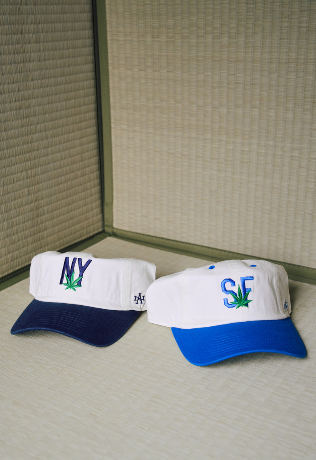 AMERICAN NEEDLE BALLPARK【MICRO ICON】
