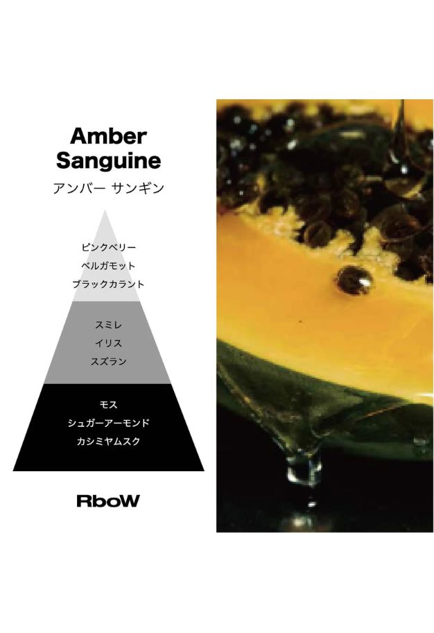 RboW (アールボウ) ケーススタディ オードパルファム【アンバーサンギン】30ml