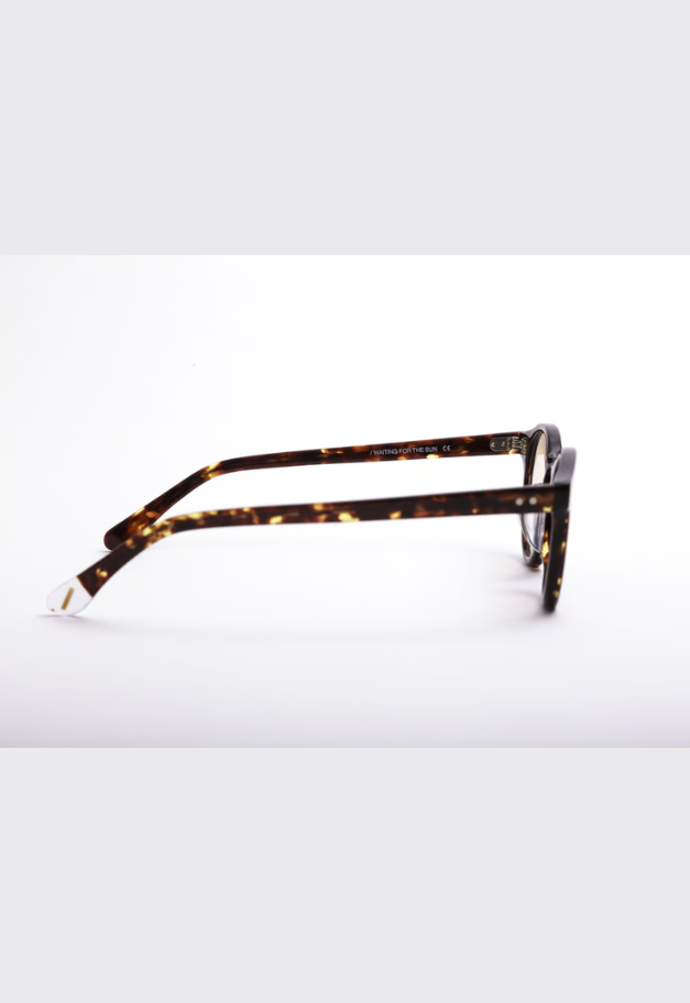 CASU eyewear Ginger 142